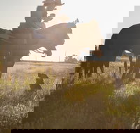 Balonne Cutting Horse Futurity - Accommodation BNB