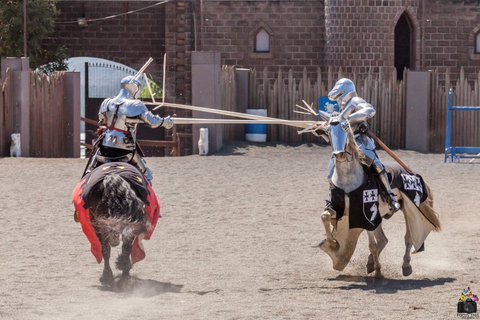Baroque Horse Festival - Accommodation BNB 2