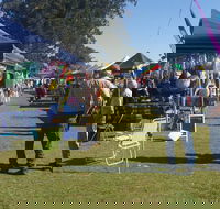 Casino Golf Club Markets - Accommodation BNB
