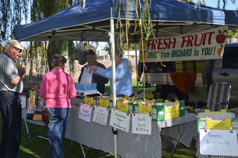 Corowa Rotary Federation Festival Market - Accommodation BNB 0