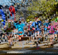 Duval Dam Buster Trail Run - Accommodation BNB