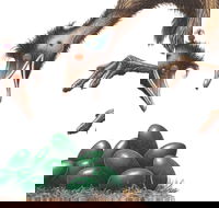 Edward the Emu - Accommodation BNB