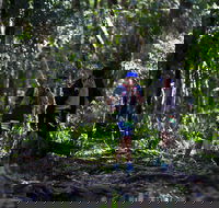 Elephant Trail Race - Accommodation BNB