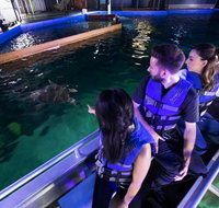 Glass Bottom Boat Tour