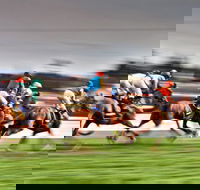 Grafton July Racing Carnival - Accommodation BNB