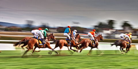 Grafton July Racing Carnival - Accommodation BNB 0