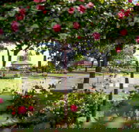 Griffith Spring Fest - Accommodation BNB