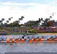 Jacaranda Dragon Boat Races - Accommodation BNB