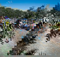 JetBlack Wild Wombat MTB Challenge - Accommodation BNB