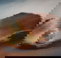 Lecture Cancelled  ADFAS  Lecture Half-Day - Patricia Law speaking on Pearls and Diamonds - Accommodation BNB