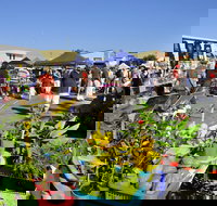 Maclean Community Monthly Markets - Accommodation BNB