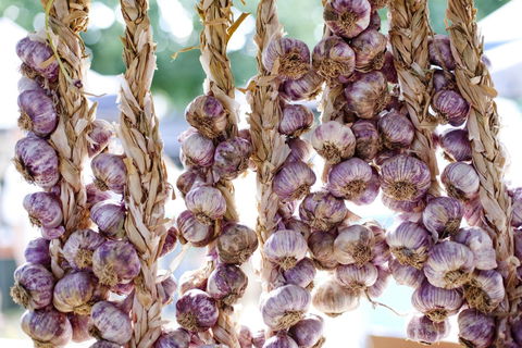 Meeniyan Garlic Festival - Accommodation BNB 0