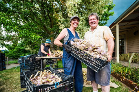 Meeniyan Garlic Festival - Accommodation BNB 2