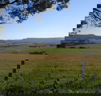 Milton Village Showground Markets - Accommodation BNB