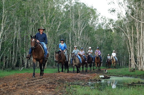 Night Horse Ride And Dinner - Accommodation BNB 0