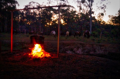 Night Horse Ride And Dinner - Accommodation BNB 2