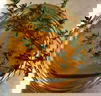 Online live streaming class DIY Skincare Products - Accommodation BNB