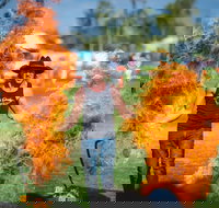 Outback Festival - Accommodation BNB