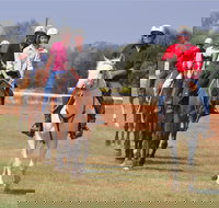 Pride of the West Races 2020 - Accommodation BNB