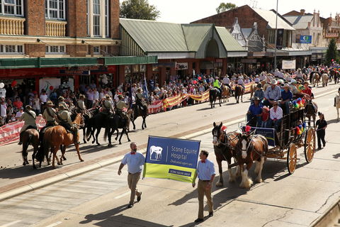 Scone Horse Festival - Accommodation BNB 0