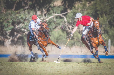 Scone Horse Festival - Accommodation BNB 1