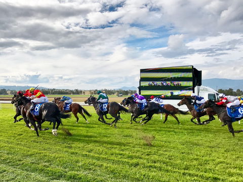 Scone Horse Festival - Accommodation BNB 2