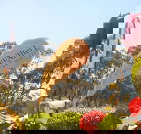 Sevenhill Producers Market - Accommodation BNB