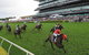 The TAB Everest: The World’s Richest Race On Turf - thumb 0