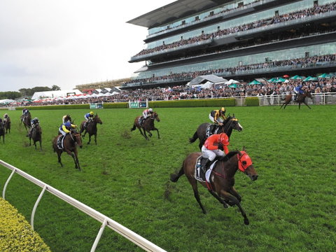 The TAB Everest: The World’s Richest Race On Turf - Accommodation BNB 0