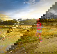 Trail Run Australia  Snowy Mountains - Accommodation BNB