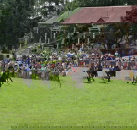 Tumut Derby Day - Accommodation BNB