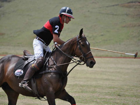 Wirragulla Annual Polo Tournament - Accommodation BNB 0