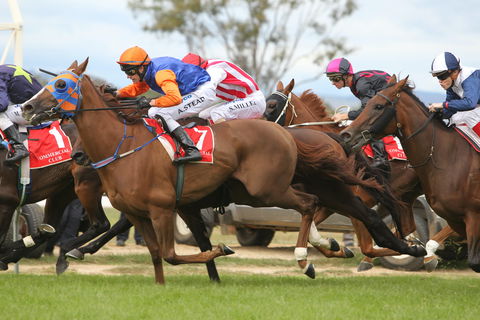 Albury Racing Club January Race Day - Accommodation BNB 1