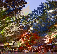 Alice Springs Town Council Night Markets - Accommodation BNB