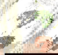 Artistic Endeavour - Accommodation BNB