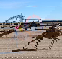 Bedourie Camel and Pig Races and Camp oven Cook-off - Accommodation BNB