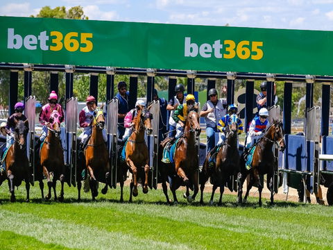 Bet 365 Caulfield Cup Day At Wodonga Race Course - Accommodation BNB 1