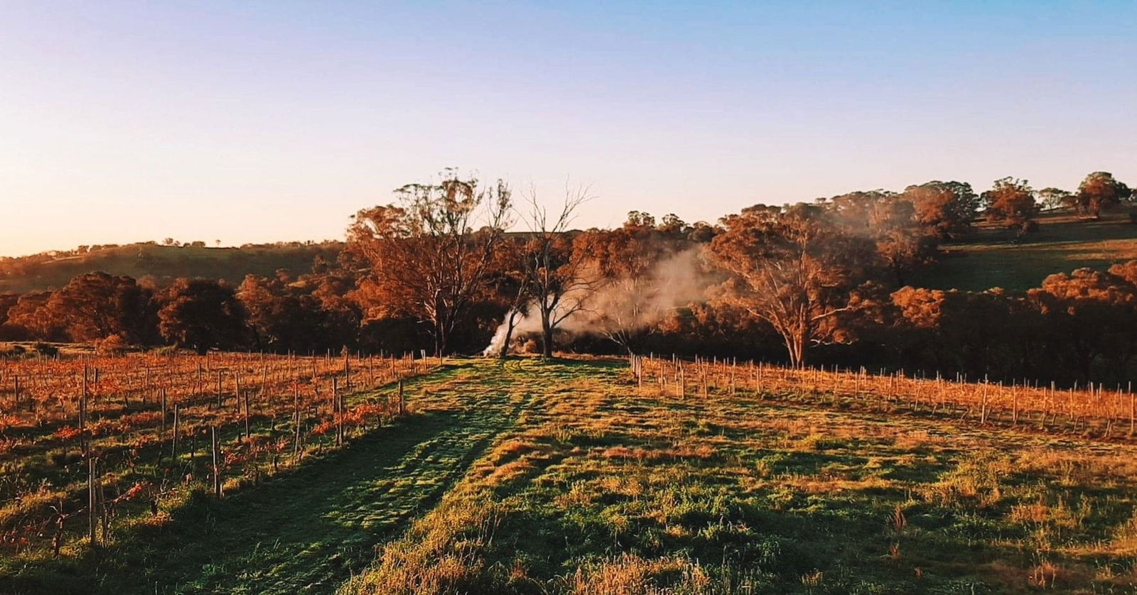 Lidster NSW Accommodation BNB