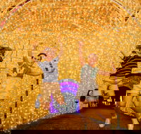 Christmas Lights Spectacular New Year's Eve at Hunter Valley Gardens - Accommodation BNB