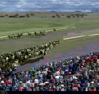 Cooma Sundowners Cup - Accommodation BNB