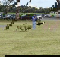 Dean Sheepdog Trials - Old Sniff Classic - Accommodation BNB