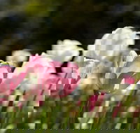 Floriade Reimagined - Accommodation BNB