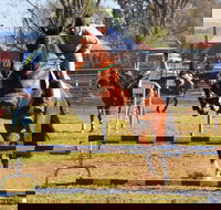 Glen Innes Pastoral and Agricultural Show - Accommodation BNB