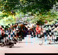 Hahndorf Christkindlmarkt - Accommodation BNB