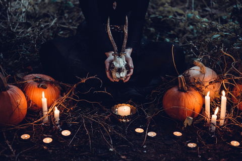 Hallows' Eve - Accommodation BNB 5