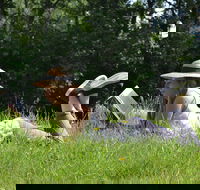 High Country Writers Festival - Accommodation BNB