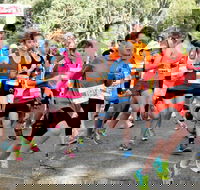 MAAS Group Dubbo Stampede Running Festival - Accommodation BNB