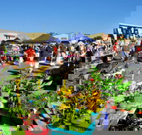 Maclean Macmarket Day - Accommodation BNB