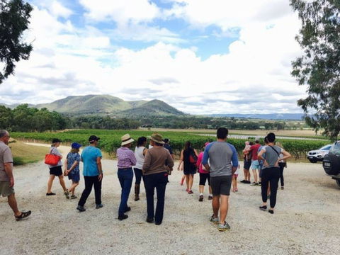 Mudgee Farm Walks - Accommodation BNB 1