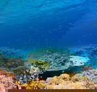 Recovery of the Great Barrier Reef - Accommodation BNB